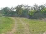 nemgal