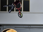 nemgal