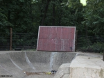 nemgal