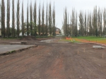 nemgal