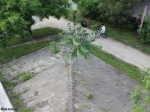 Budapest 140