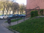 Budapest 228