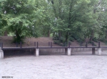 Budapest 42