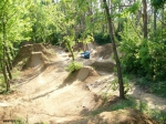 Budapest Patakhegy Trails
