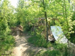 Budapest Patakhegy Trails