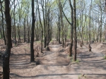 Budapest Sylas Trails