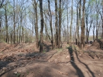 Budapest Sylas Trails