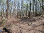 Budapest Sylas Trails