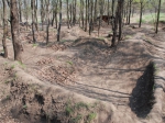 Budapest Sylas Trails