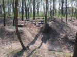 Budapest Sylas Trails