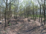 Budapest Sylas Trails