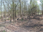 Budapest Sylas Trails