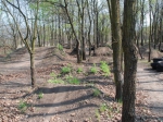 Budapest Sylas Trails