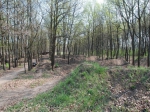 Budapest Sylas Trails