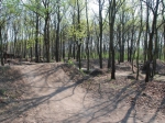 Budapest Sylas Trails