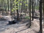 Budapest Sylas Trails