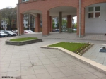 Street 2