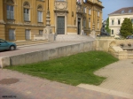 Street 6