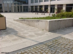 Street 7