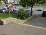 Street 9