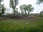 Velvart Dirt