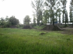 Velvart Dirt