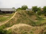 Grapehill Dirt
