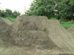 dirt
