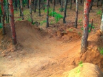 DTLF trails