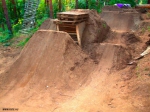 DTLF trails